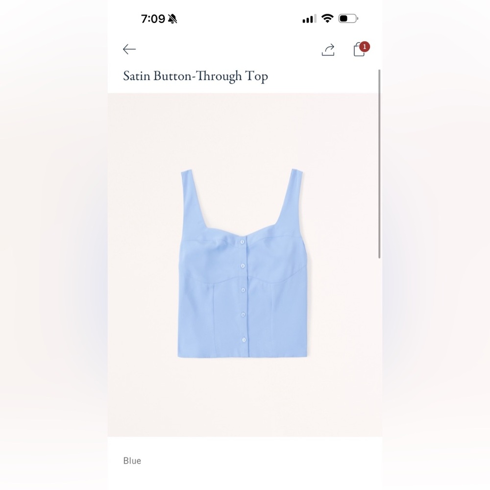 NWT Abercrombie & Fitch satin blue button top size Small